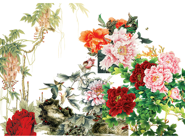國色天香，優(yōu)雅綻放 解析《牡丹花》PNG免摳圖素材的藝術(shù)價值與應(yīng)用場景