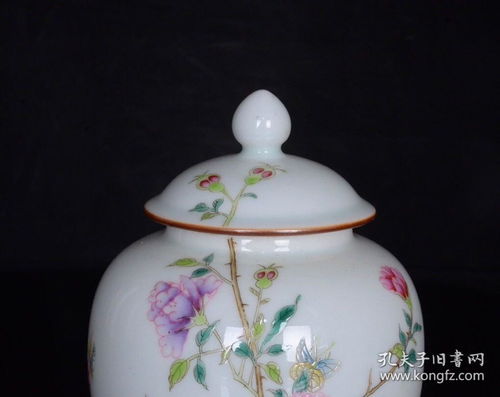 清雍正粉彩花鳥牡丹紋蓋罐一對 芍藥精品撿漏記